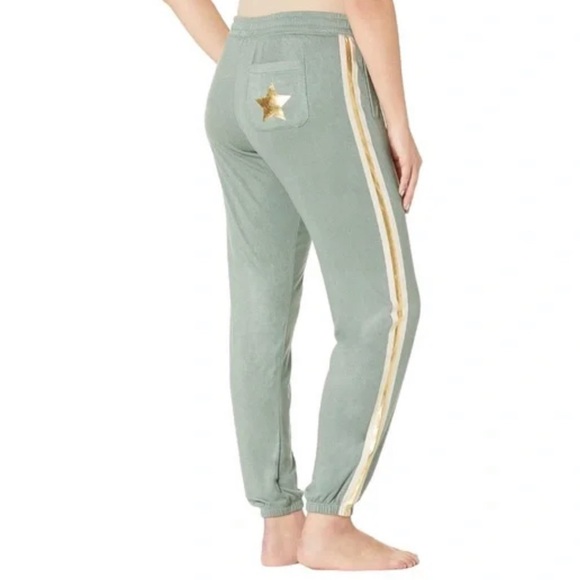 PJ Salvage Other - NWT PJ Salvage Gold Star Status Jogger Pants in Sage Size XS